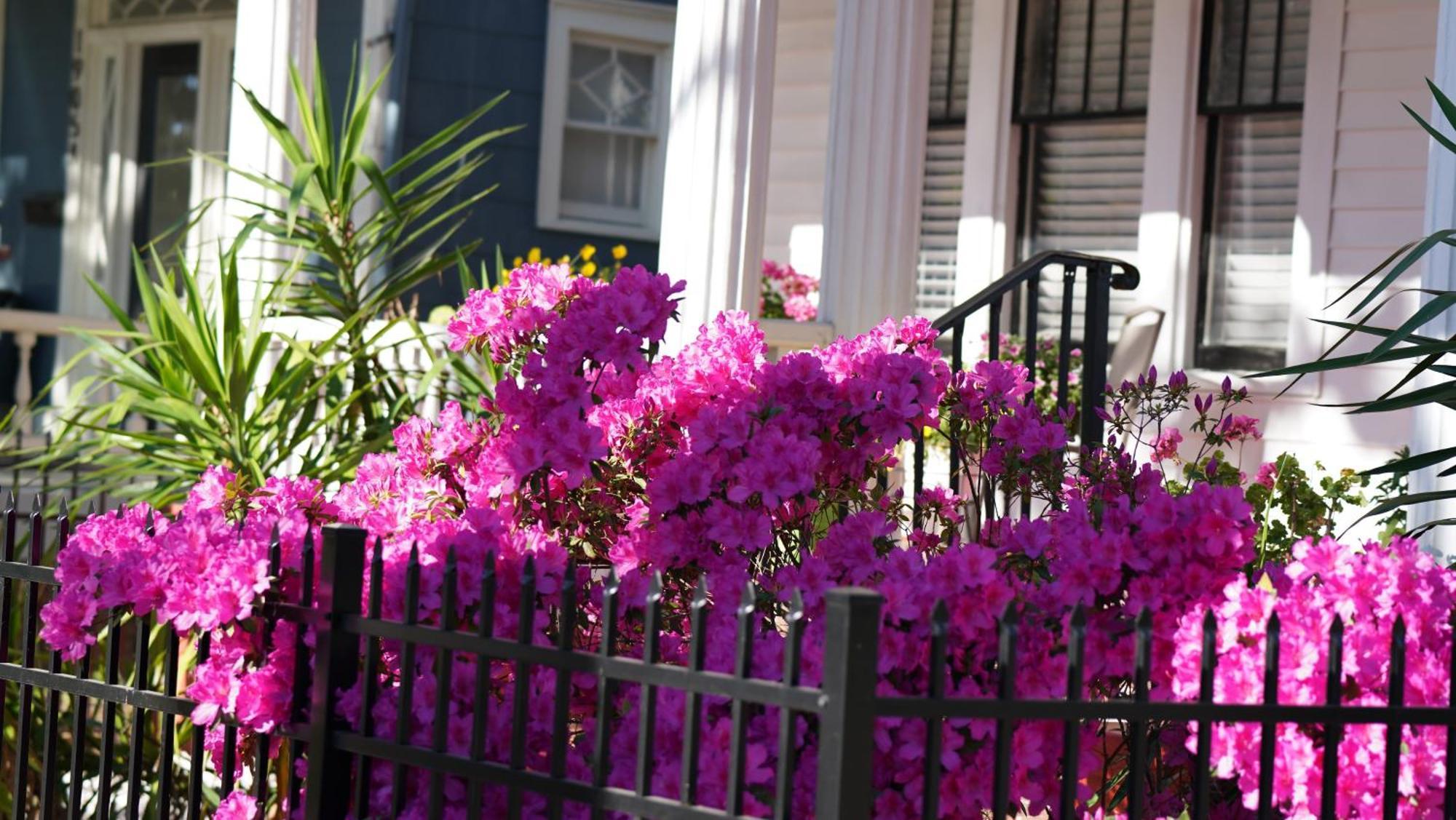 5 Bedroom Downtown Savannah Ga المظهر الخارجي الصورة